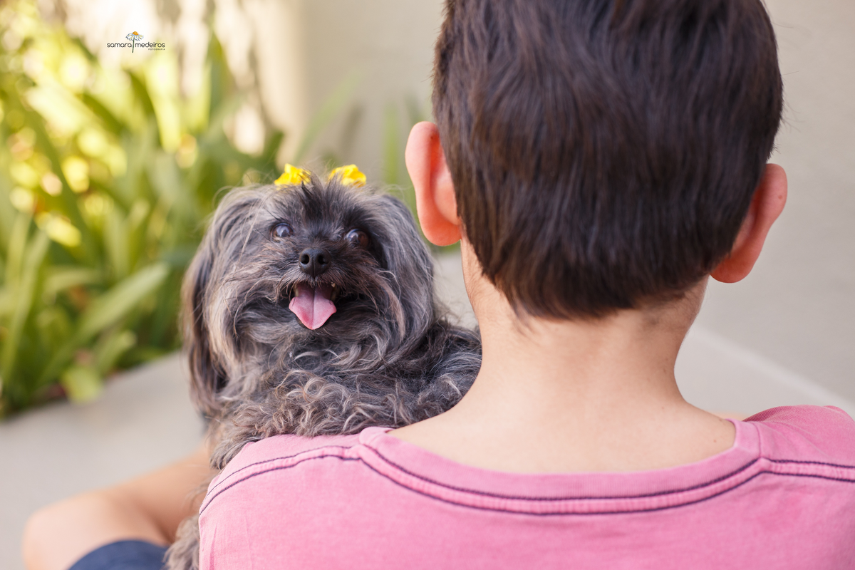 Menino de costas segurando sua cachorrinha yorkshire, que está virada para a câmera olhando sobre o ombro dele.