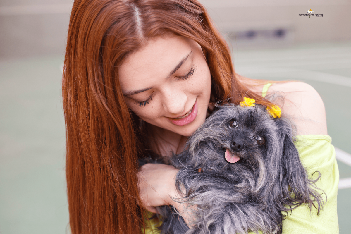 Cachorrinha da raça yorkshire, com a língua para fora ganhando um abraço da sua humana.