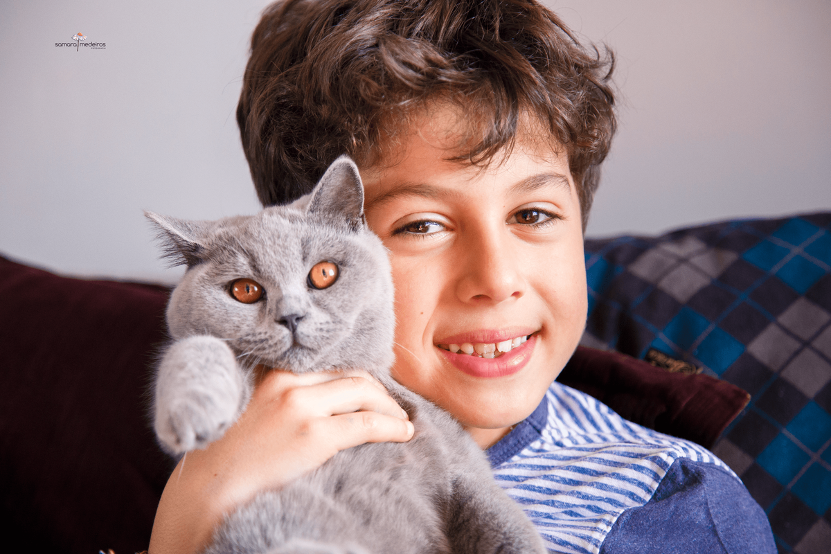Menino sorrindo para a câmera abraçando uma gatinha cinza da raça british short hair.