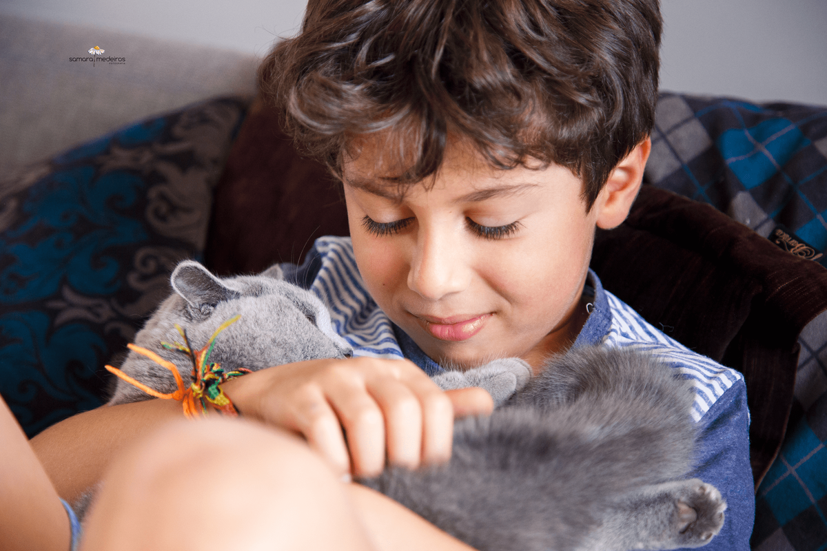 Criança carregando uma gatinha cinza, da raça british shorthair, no colo.