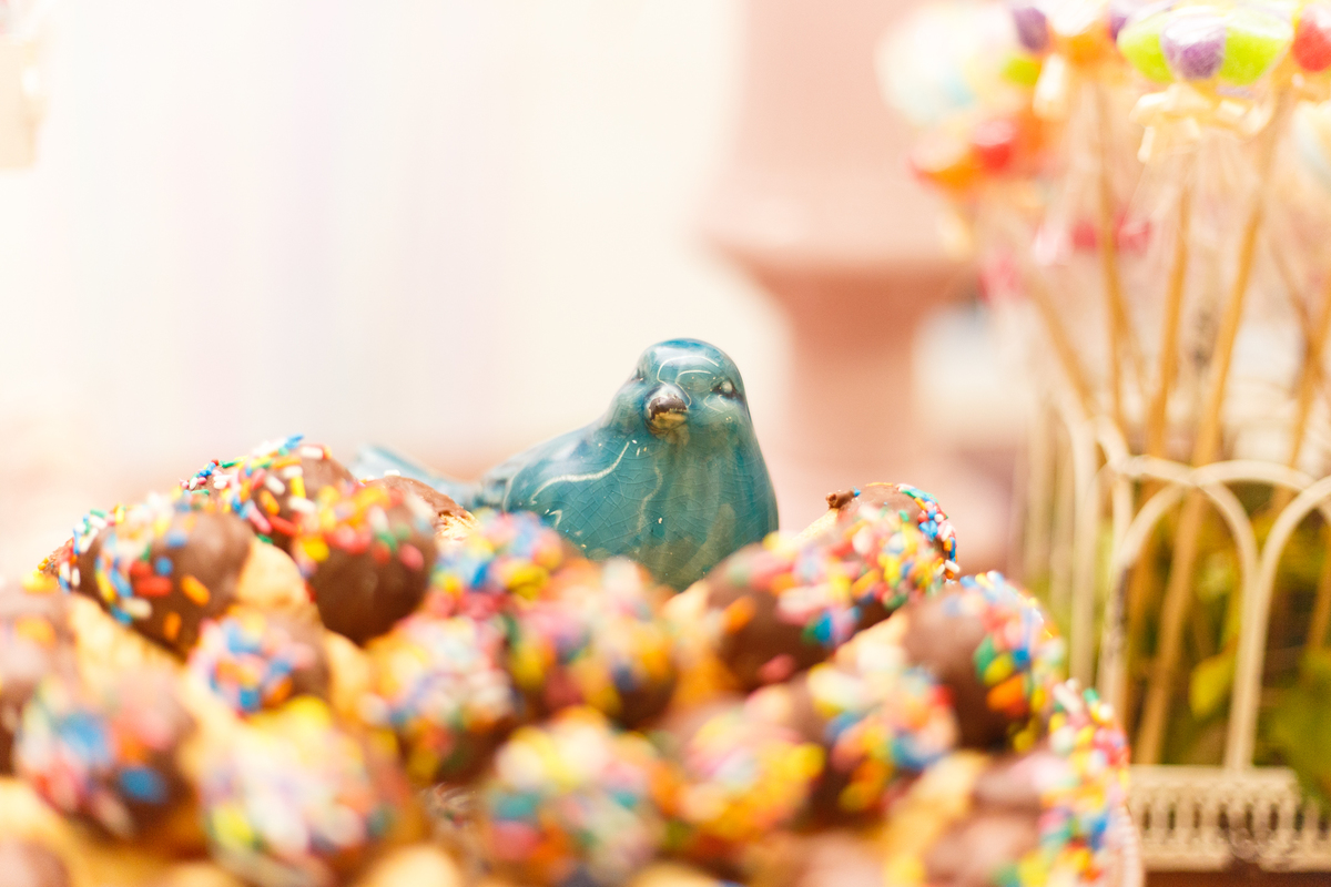 Detalhe de um passarinho azul de porcelana e doces da decoração de um aniversário infantil no tema fazendinha.