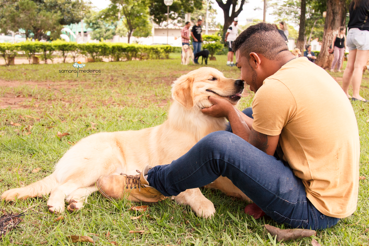 Encontro pet Golden BH