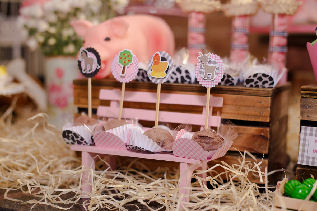 Detalhe da decoração no tema fazendinha, com um mini banco e docinhos em cima, com plaquinhas de animais de fazenda ou plantas, em cada doce.
