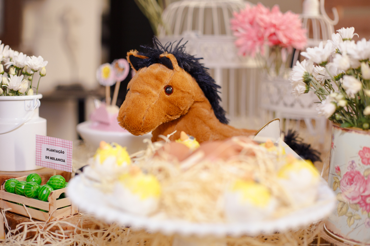 Detalhe da decoração no tema fazenda em um aniversário infantil, com detalhe de um cavalo de pelúcia.