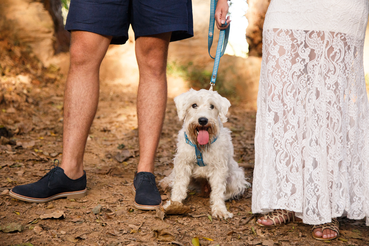 Pernas de um rapaz e uma moça com o cachorro deles entre os dois, sentado com a língua para fora, olhando para a câmera.