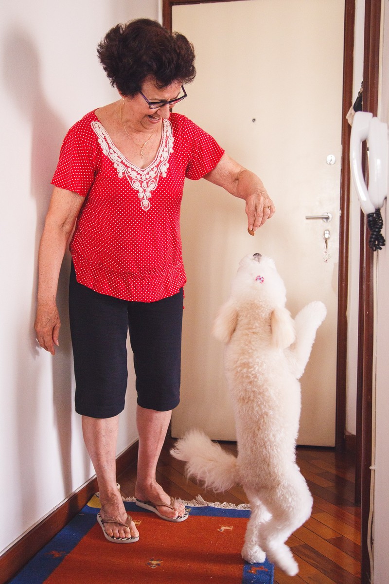 Tutora com um petisco segurando no alto e a pet, uma poodle, em pé em duas patas tentando alcançar a comida.