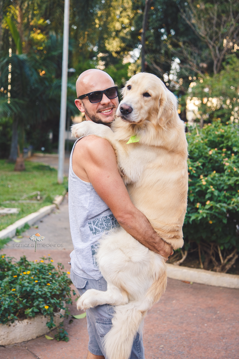 Cachorro golden no colo de seu tutor, abraçados e ambos olhando para a foto durante sessão pet.