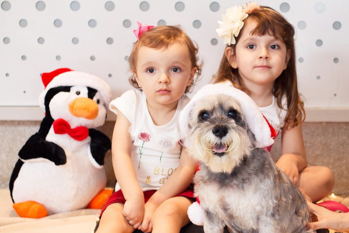 Duas crianças posando com a schnauzer da família, que está usando um gorrinho de papai noel.