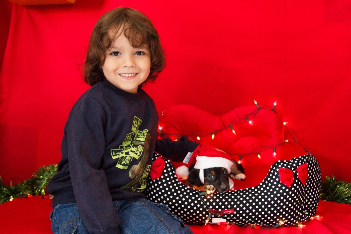 Criança sentada em um cenário de fundo vermelho, ao lado de uma caminha com um cachorro filhote dentro.