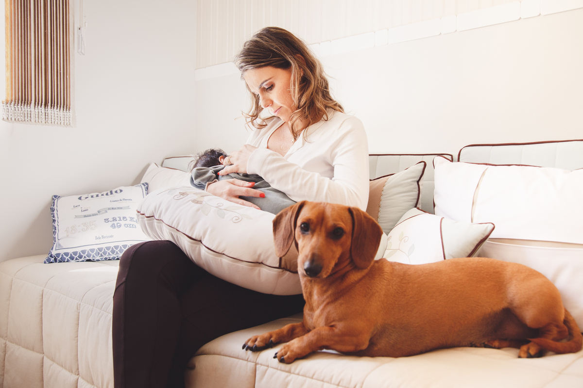 Mãe sentada no sofá amamentando seu filho, olhando para ele, com a cachorrinha deitada ao lado olhando para a foto.