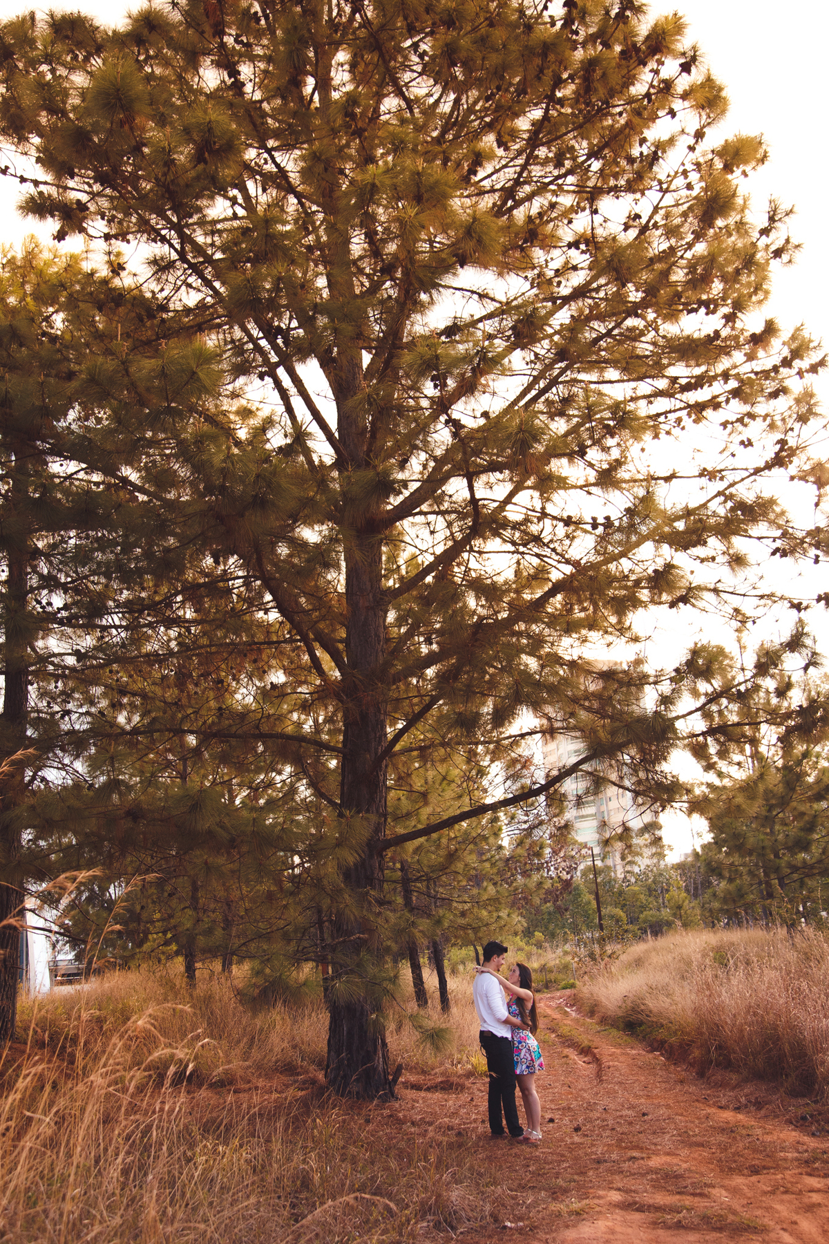 Casal abraçado de pé embaixo de uma árvore enorme.