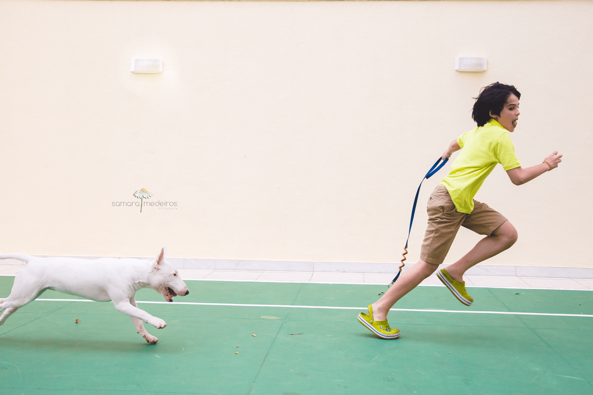 Criança e bull terrier correm brincando durante ensaio fotográfico pet.