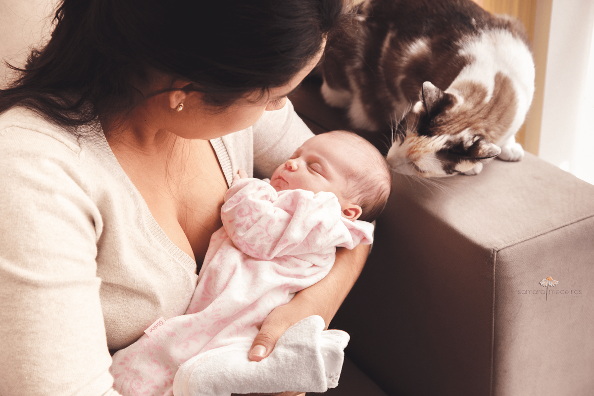 Mãe apresenta a bebê recém nascida, que está dormindo no colo, para a gatinha da família cheirar e se familiarizar.