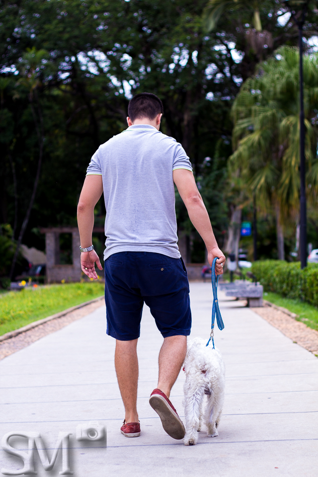 Cão e seu tutor passeando em uma praça de Belo Horizonte durante um ensaio fotográfico.