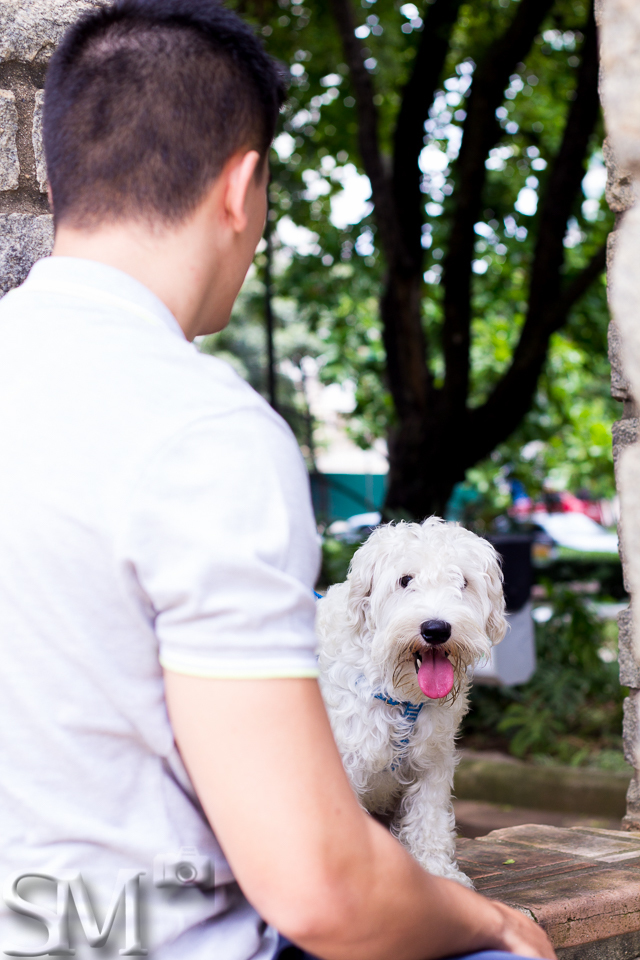 Cachorro branco olhando para a câmera e seu tutor de costas para a foto em uma praça de Belo Horizonte.