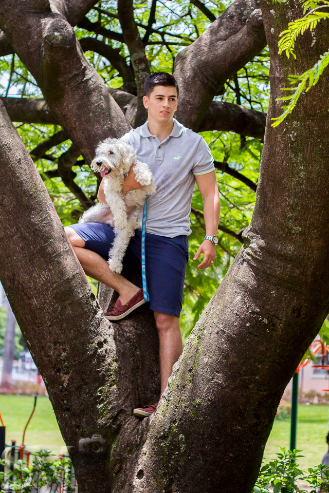 Cachorro e seu tutor em cima de uma árvore posando para foto em ensaio externo em uma praça de Belo Horizonte.
