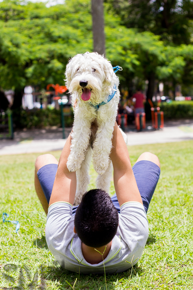 Tutor deitado segurando cão no alto, fazendo pose para foto em ensaio fotográfico pet.