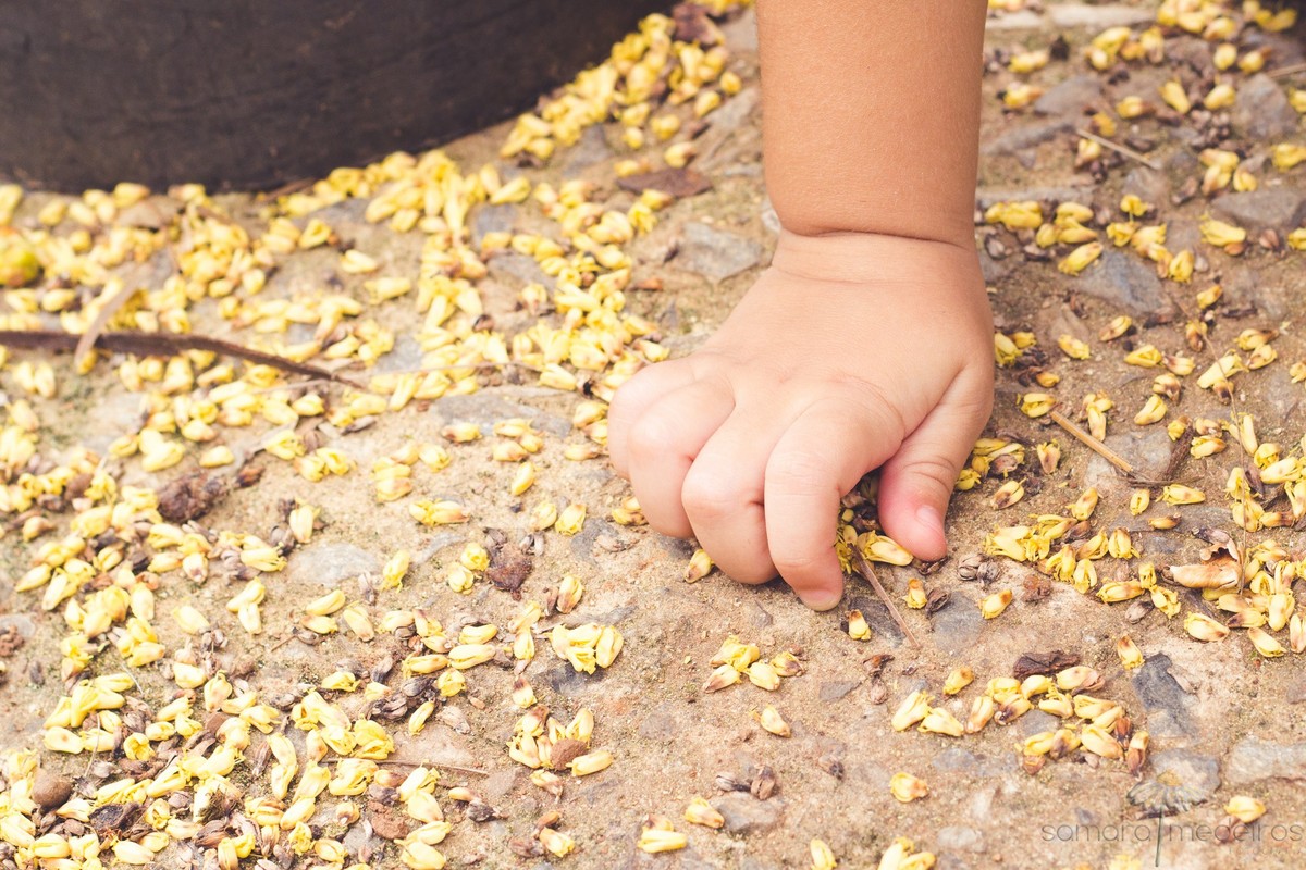 Mão de uma criança pegando flores no chão do parque municipal de Belo Horizonte, BH.