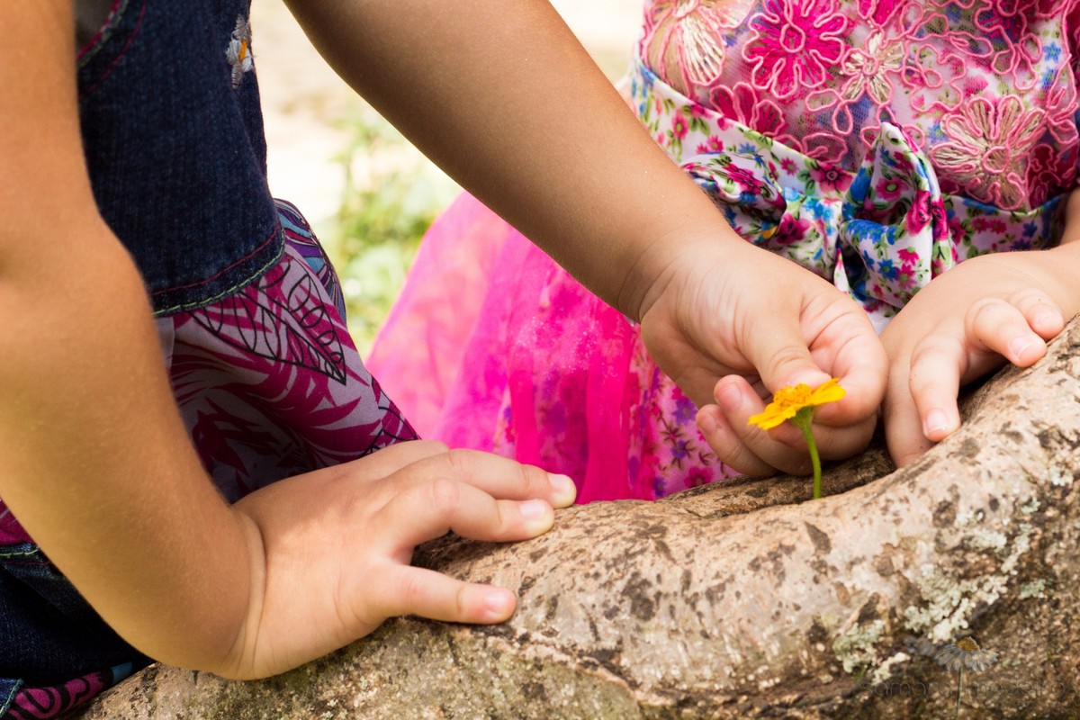 Detalhes das mãos das crianças brincando com uma florzinha em um parque de Belo Horizonte.