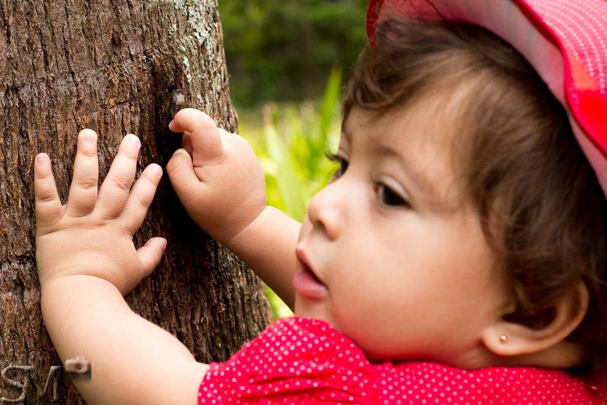 Criança brincando com a casca de uma árvore em ensaio externo em um parque de Belo Horizonte.