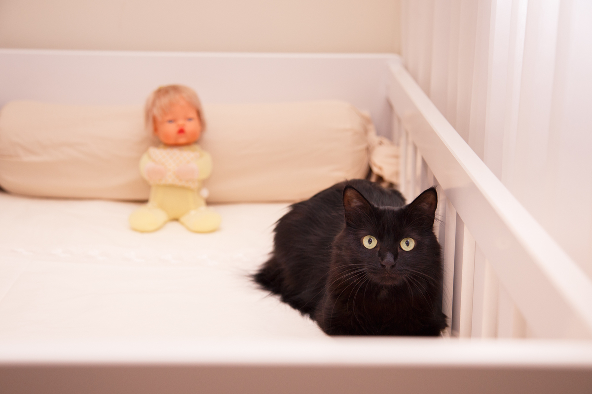 Gatinha preta da família dentro do berço da neném que está para chegar,