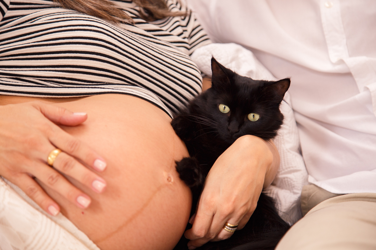 Close da barriga da gestante com a gatinha preta da família ao lado, ganhando um abraço. Com uma mão a gestante abraça a gatinha e com a outra acaricia a barriga.