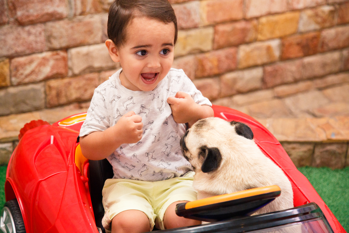 Criança dentro de um carrinho de brinquedo junto com seu cão pug. O pug está tentando subir no colo do menino que faz uma expressão de surpresa, com a boca aberta.