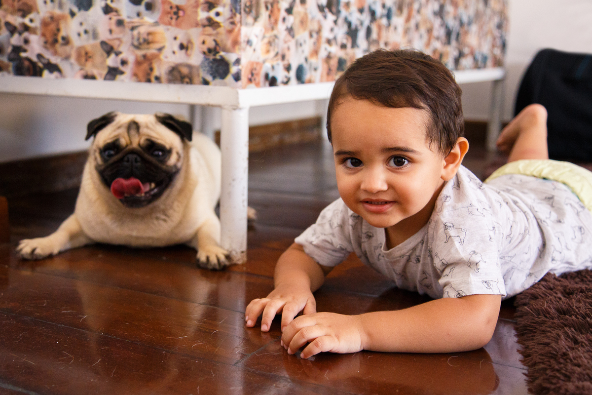 Menino e o cão da família da raça pug ambos deitados no chão de casa de bruços e olhando para a câmera.
