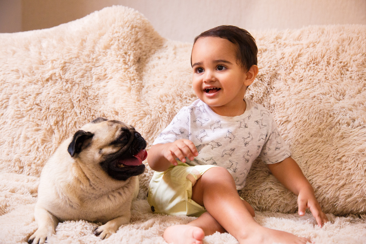 Menino sentado no sofá ao lado du cachorro da família, da raça pug, durante ensaio infantil e pet.