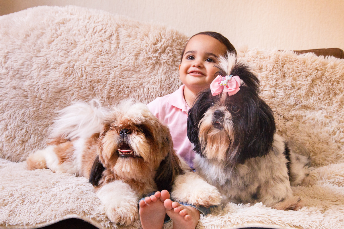 Menino sentado no sofá junto com dois cães da família, da raça shih tzu. Os cães e a criança olham para a mãe do menino que não aparece na foto.