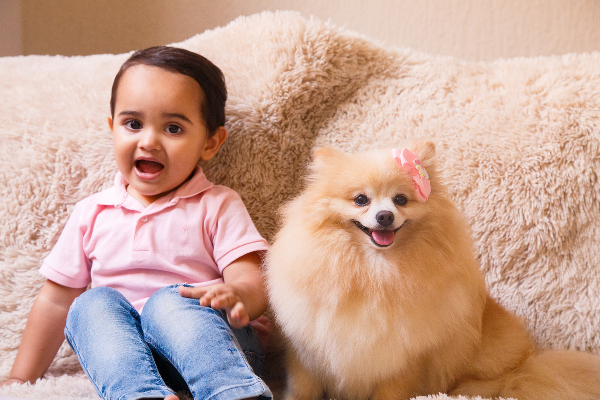 Criança sentada no sofá ao lado da cachorrinha da família, da raça lulu da pomerânia ou spitz alemão, ambos com a boca aberta e olhando para a câmera.