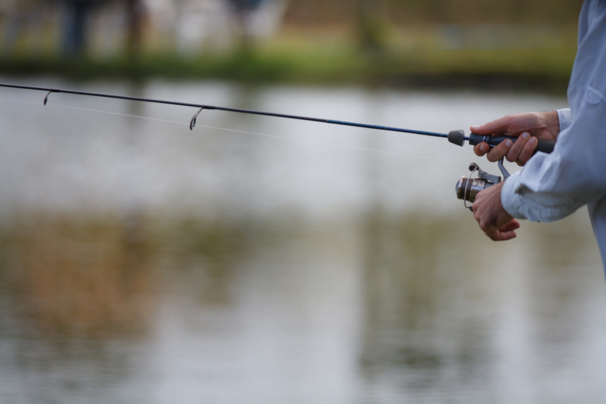 Pesca de gigantes...