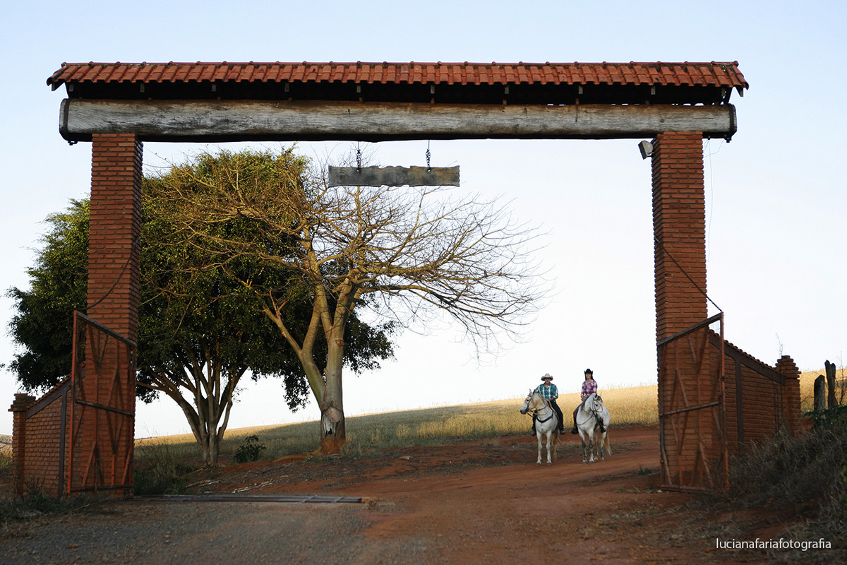 labrador, cavalos, passeio de cavalo, tranquilidade, a dois, noivo, noiva, fotografia de casal, casamento, ensaio, ensaio casal, ensaio externo, fim de tarde, por do sol, pré-casamento, luz natural, espontaneidade, fotos espontâneas, tr&ecirc