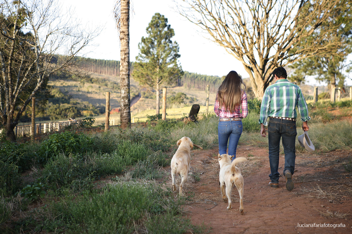 labrador, cavalos, passeio de cavalo, tranquilidade, a dois, noivo, noiva, fotografia de casal, casamento, ensaio, ensaio casal, ensaio externo, fim de tarde, por do sol, pré-casamento, luz natural, espontaneidade, fotos espontâneas, tr&ecirc