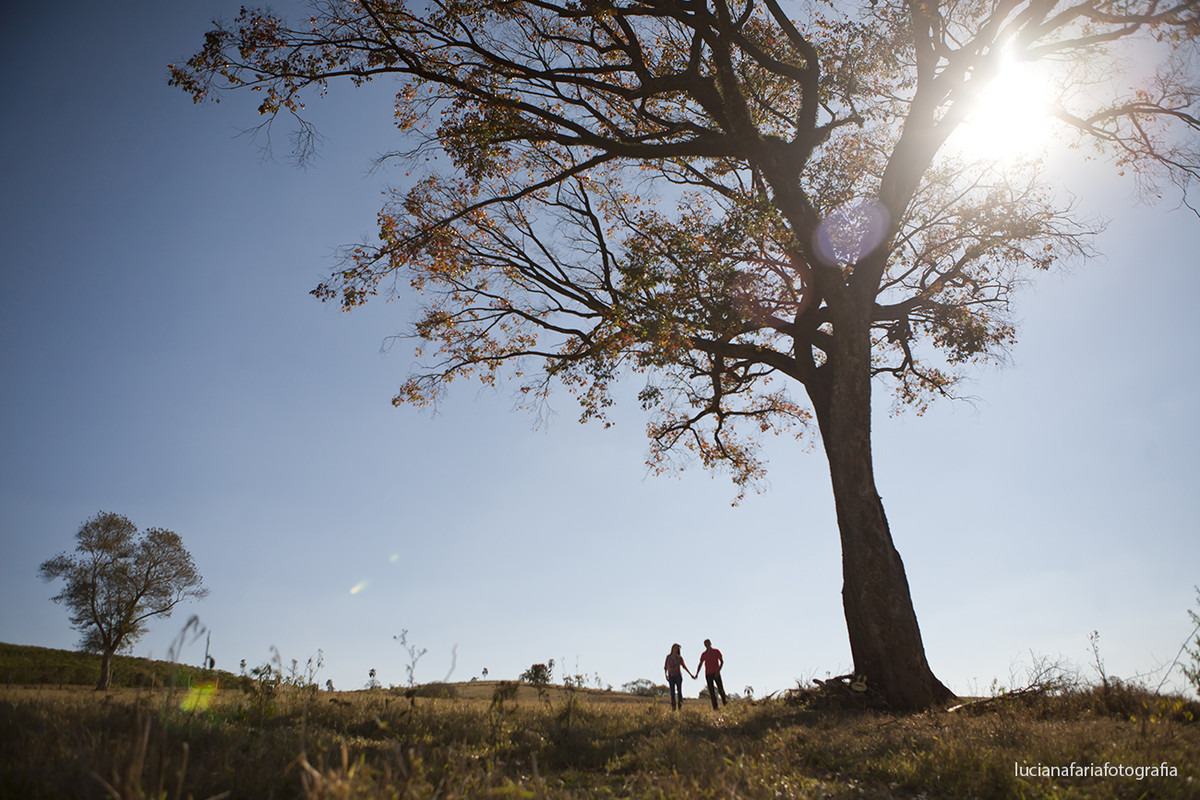 arvore da infância, avô do noivo, passeio, tranquilidade, a dois, noivo, noiva, fotografia de casal, casamento, ensaio, ensaio casal, ensaio externo, fim de tarde, por do sol, pré-casamento, luz natural, espontaneidade, fotos espont&aci