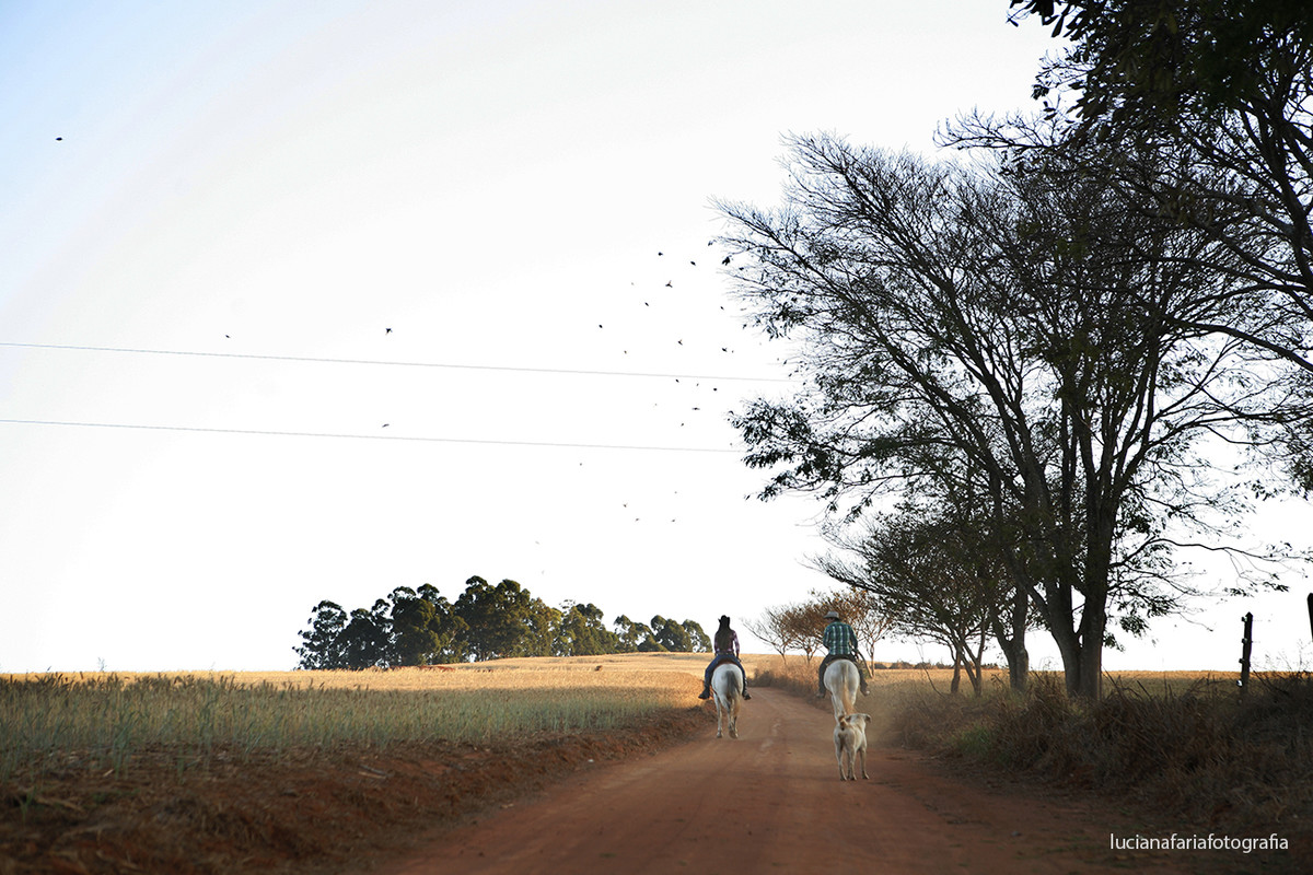 labrador, cavalos, passeio de cavalo, tranquilidade, a dois, noivo, noiva, fotografia de casal, casamento, ensaio, ensaio casal, ensaio externo, fim de tarde, por do sol, pré-casamento, luz natural, espontaneidade, fotos espontâneas, tr&ecirc
