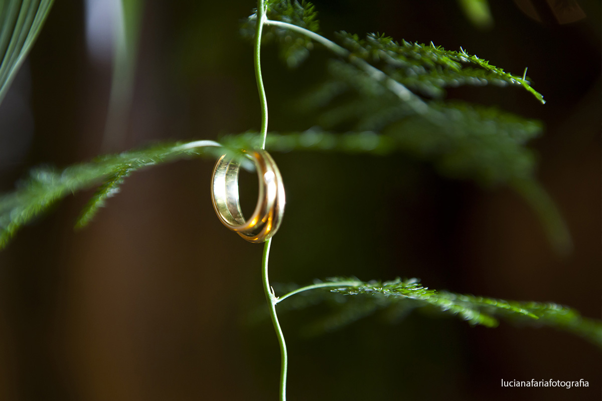 alianças, fotos alianças, casar no salão, buffet, casar, casamento de dia, weding, cerimonial, emoção, sorrisos, decoração