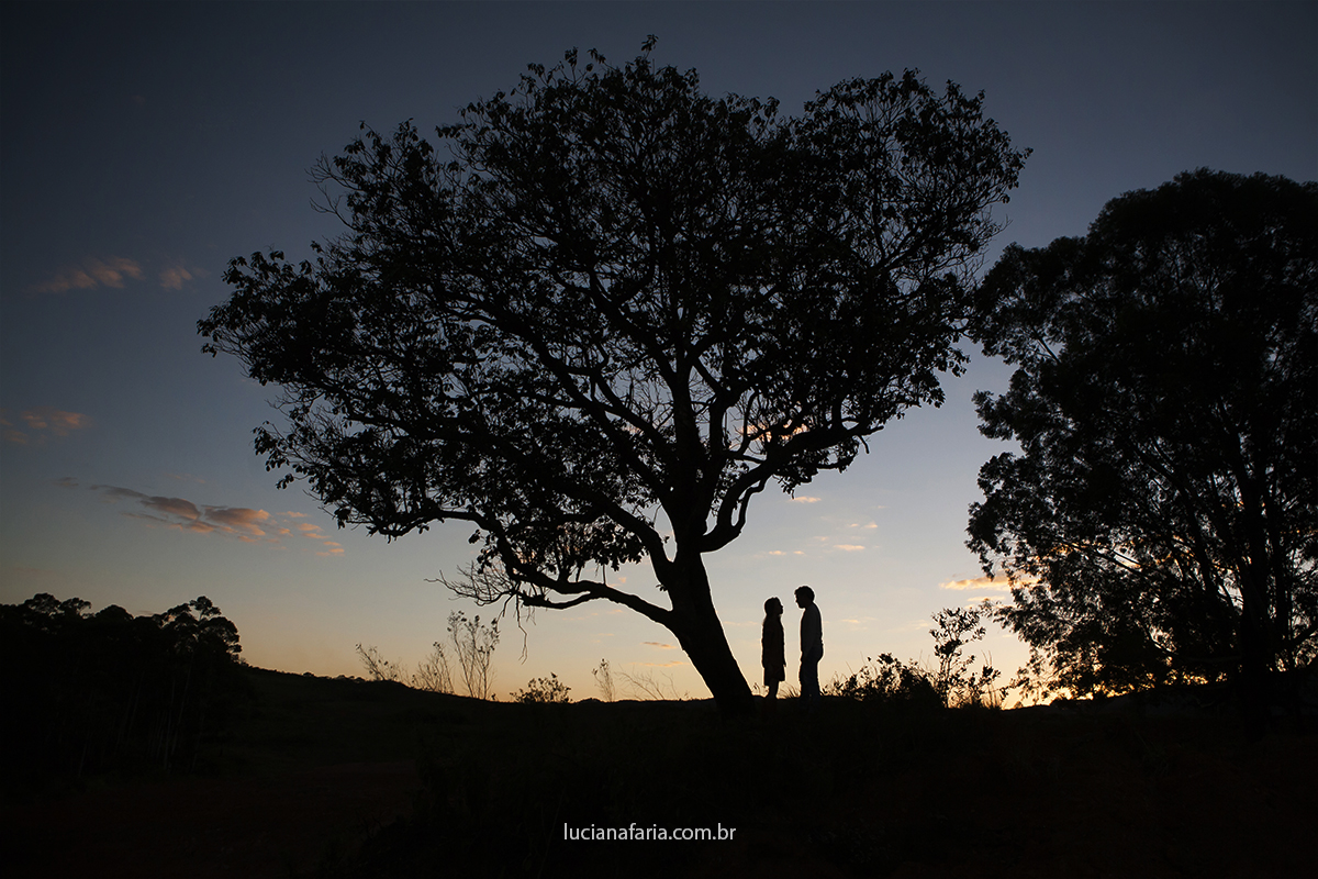 silhueta da arvore onde o casal fez seu ensaio de fotos pré casamento com a fotógrafa luciana faria