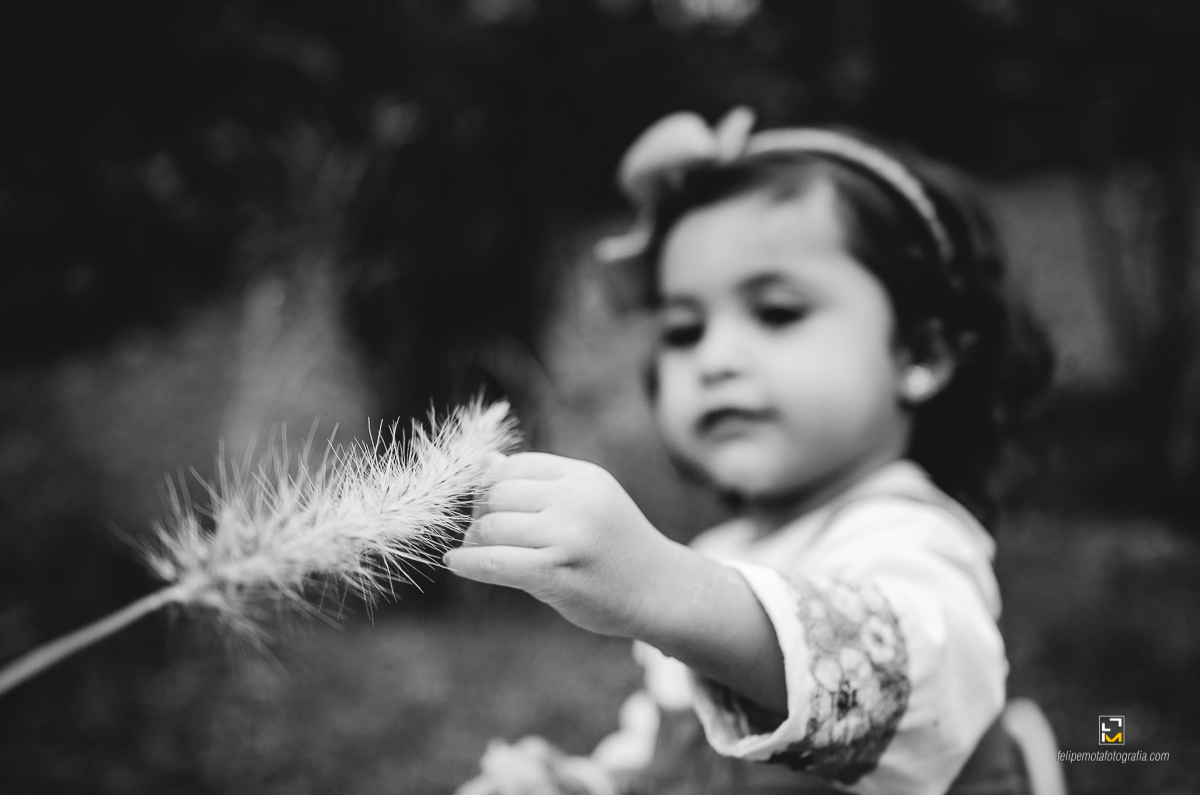 o fotografo Felipe Mota Fotografia com o tema Masha e o Urso