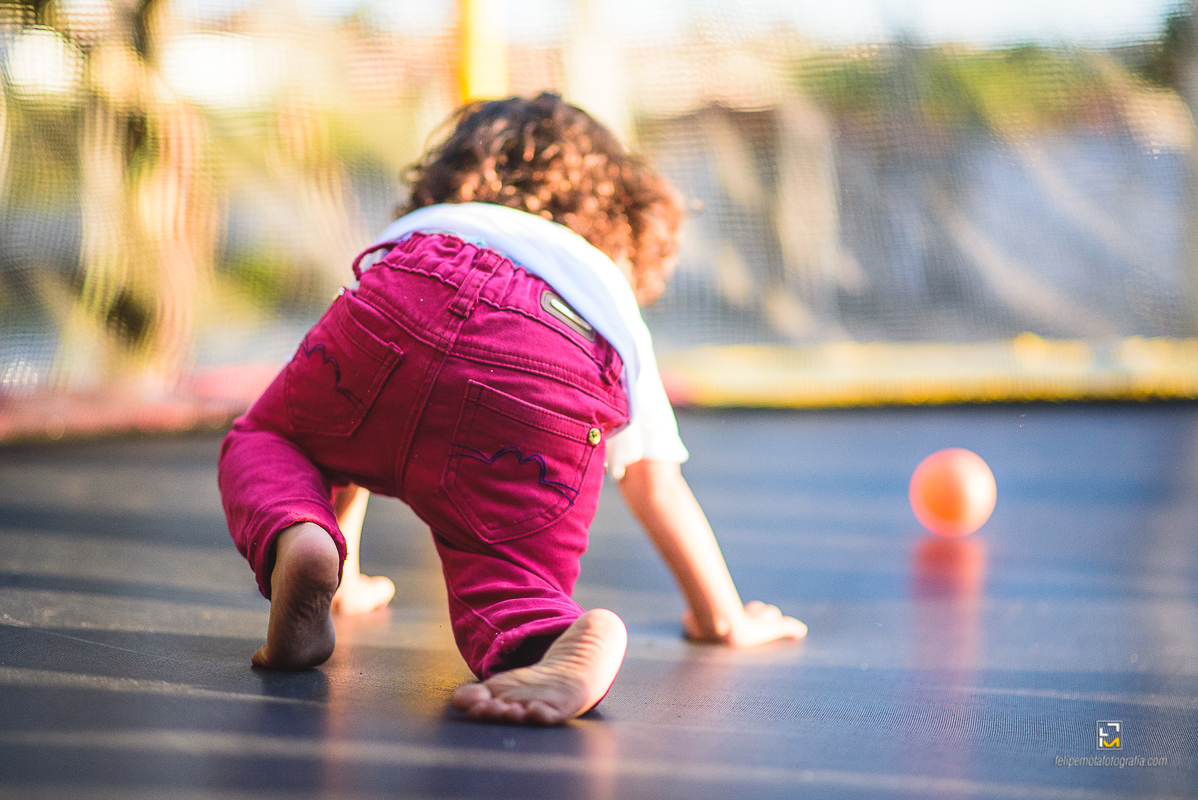 Felipe Mota Fotografo Aniversário Masha e o Urso em Careaçu e Pouso Alegre