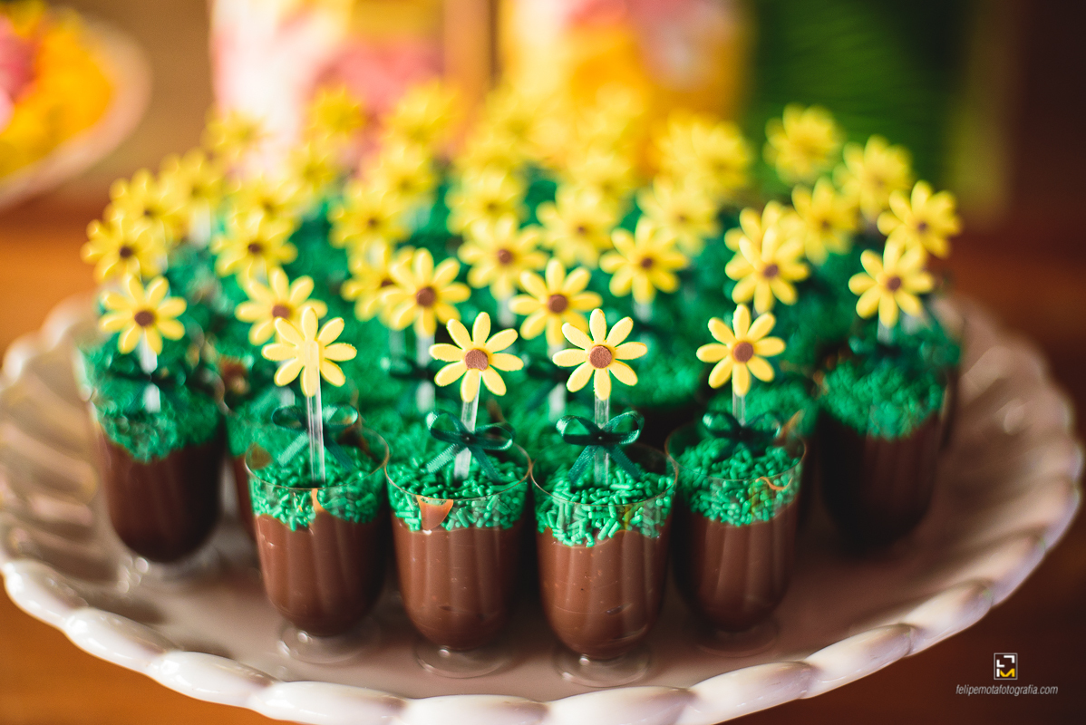 Felipe Mota Fotografo Aniversário Masha e o Urso em Careaçu e Pouso Alegre
