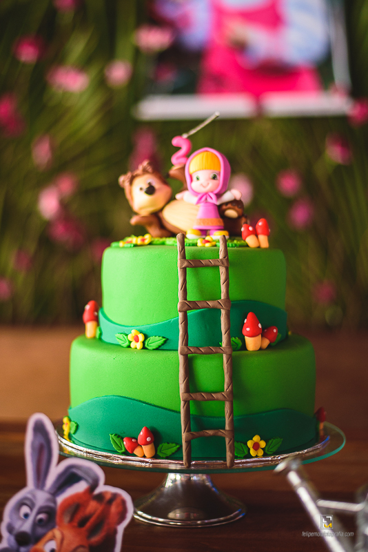 Felipe Mota Fotografo Aniversário Masha e o Urso em Careaçu e Pouso Alegre