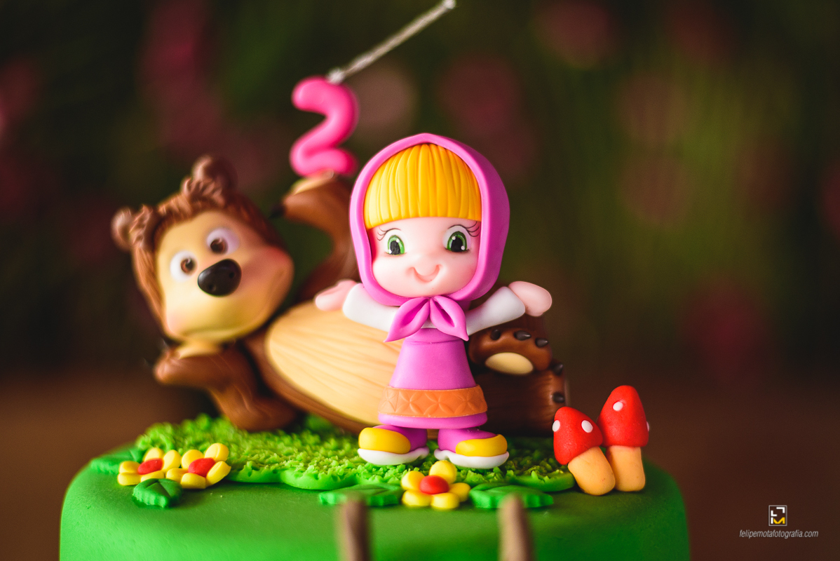 Felipe Mota Fotografo Aniversário Masha e o Urso em Careaçu e Pouso Alegre