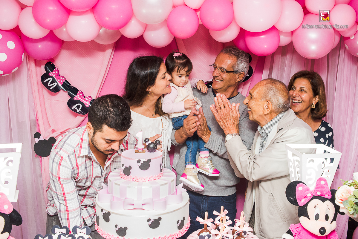 Felipe Mota Fotografia - Fotografa Aniversário de um ano na cidade de Pouso Alegre, uma festa decoração infantil em casa.