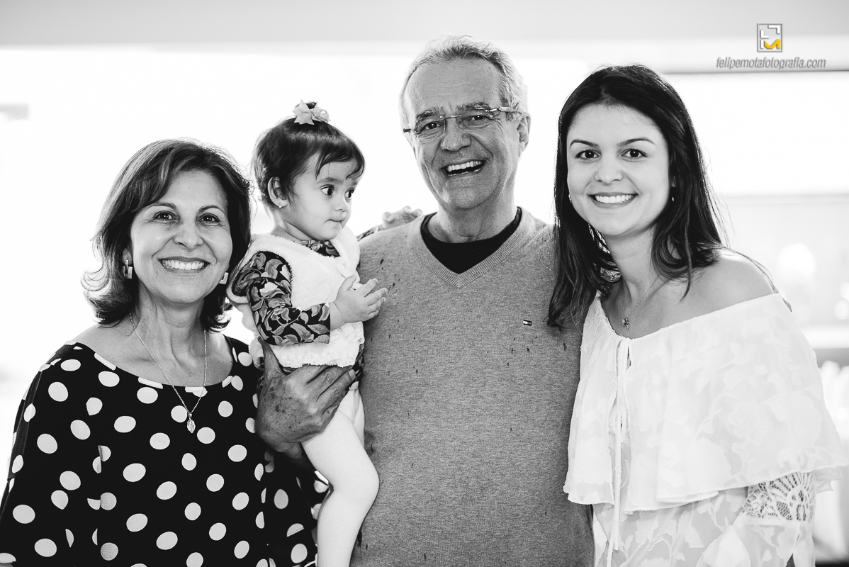 Felipe Mota Fotografia - Fotografa Aniversário de um ano na cidade de Pouso Alegre, uma festa decoração infantil em casa.