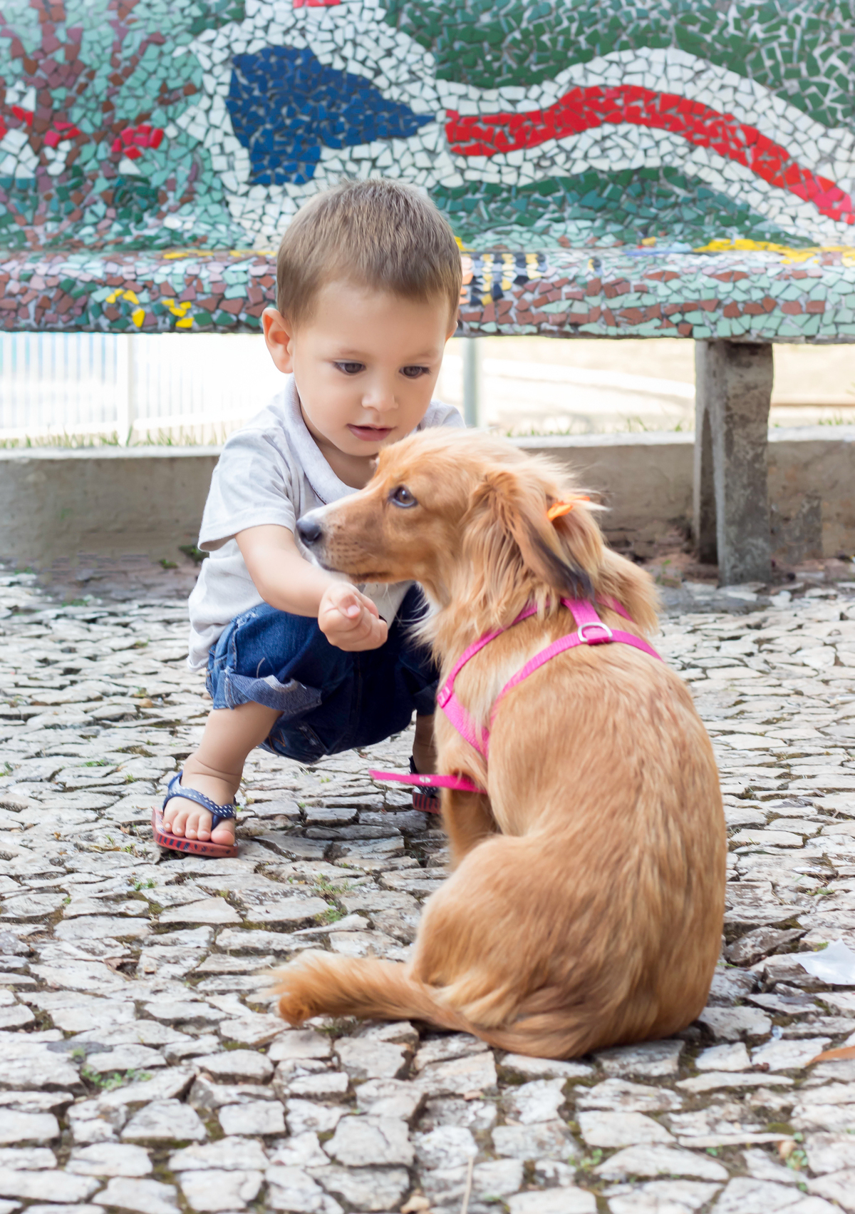 Ensaio na praça Walnir Bottaro Daniel - São Miguel do Oeste - Encanto Fotografia