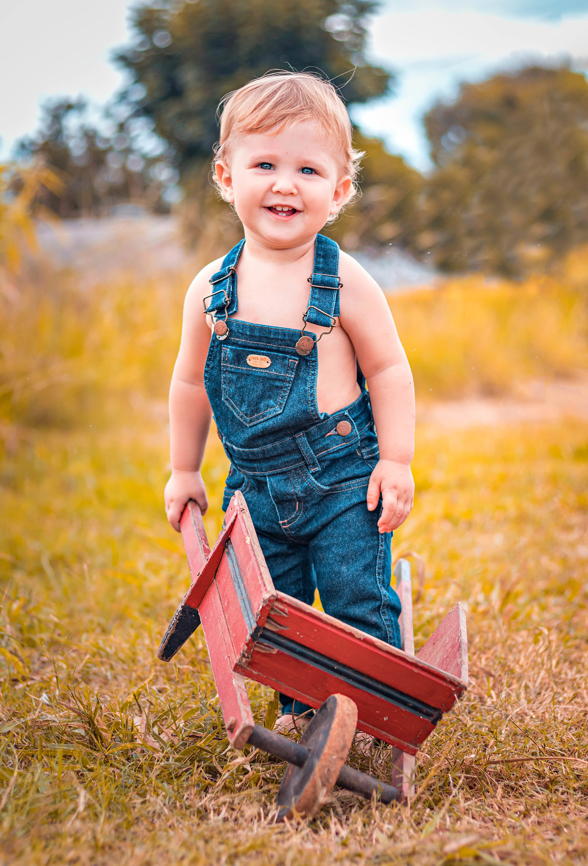 Ensaio dos irmãos Oliver e Joaquim em São Miguel do Oeste - Encanto Fotografia