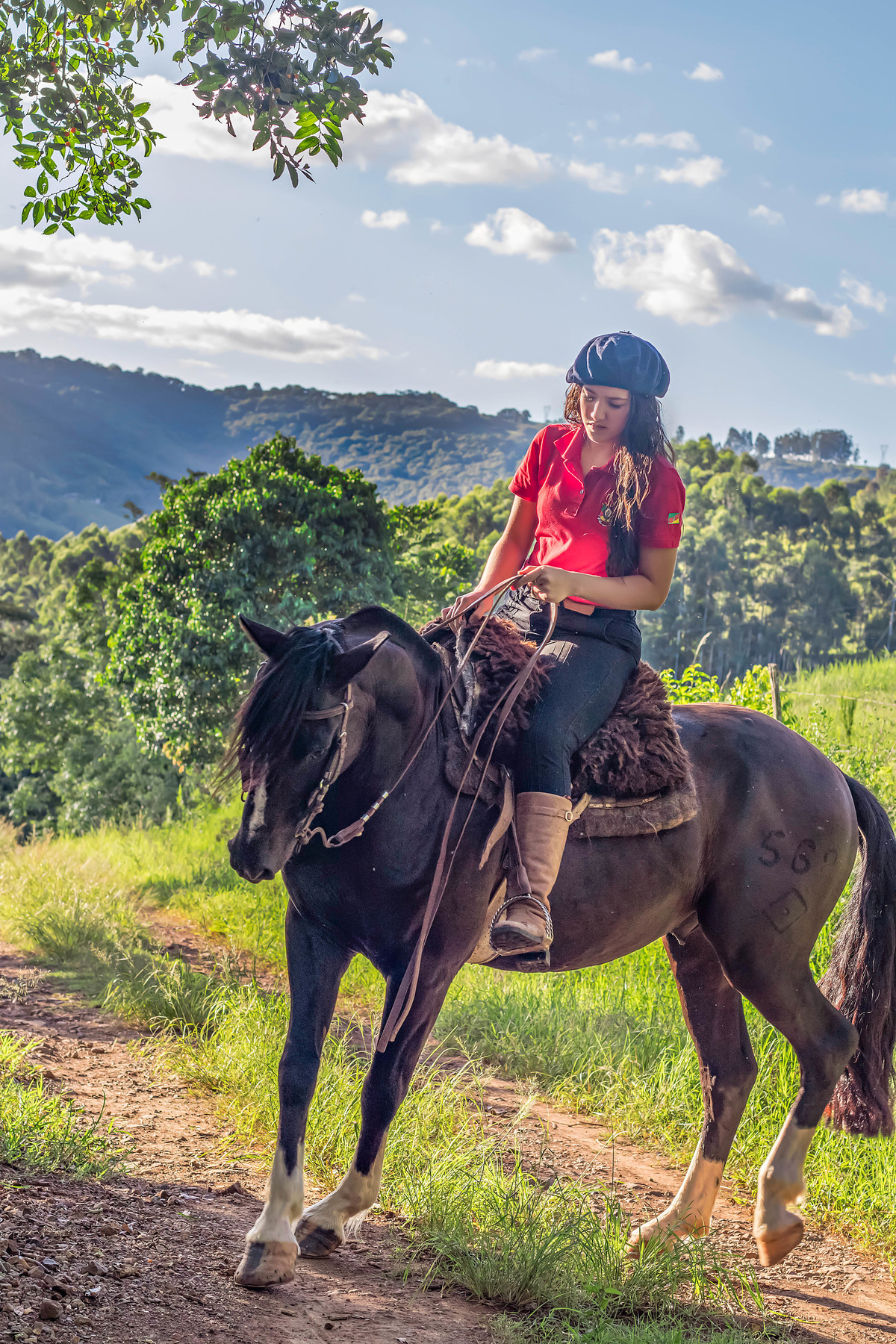 Ensaio Campeiro da Duda  em Chapecó /SC - Encanto Fotografia