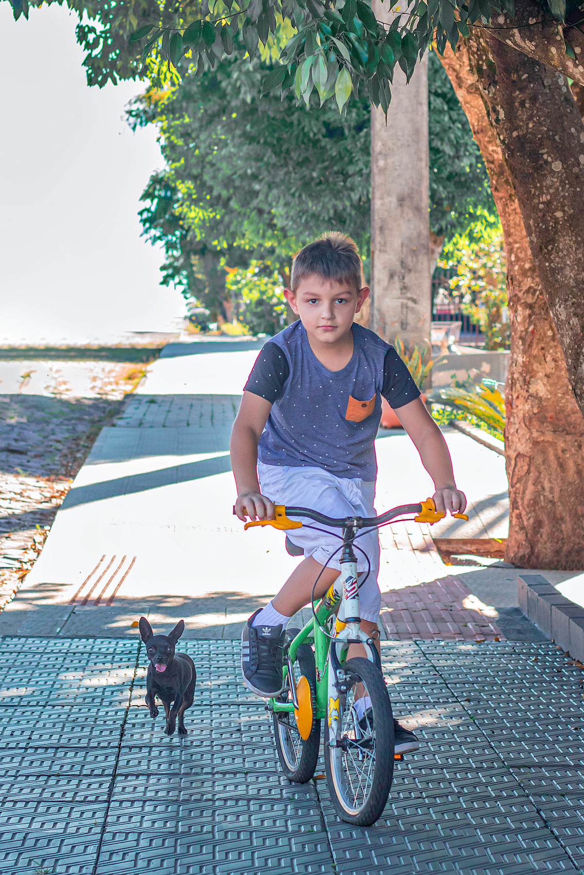 Ensaio do Rafael e Família em São Miguel do Oeste/SC - Encanto Fotografia