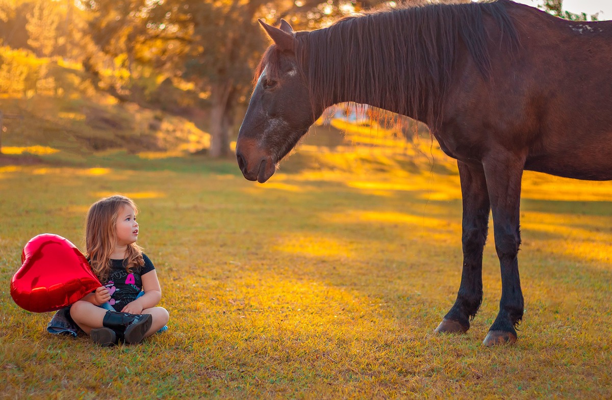 Ensaio de 3 anos da Luiza na Sede Campeira - São Miguel Do Oeste/SC  - Encanto Fotografia